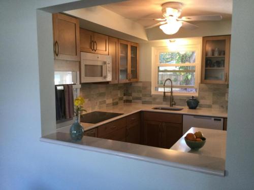 Kitchen Remodel, Dunedin Fl